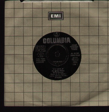 Zaildar - Indian Vinyl EP