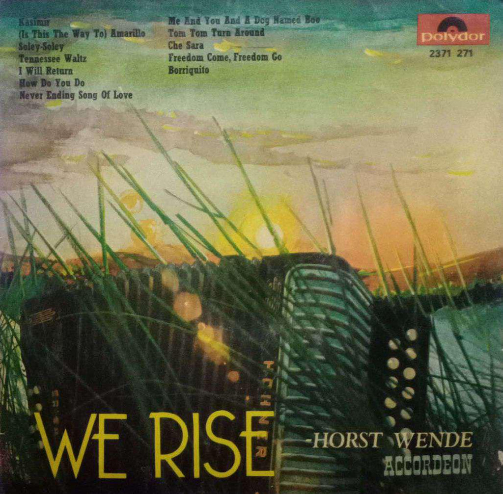 WE RISE - ENGLISH VINYL LP