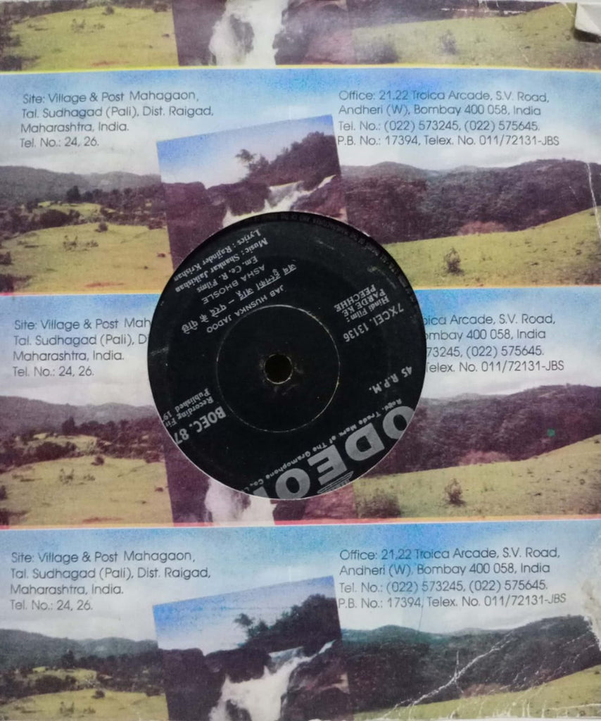 PARDE KE PEECHHE - HINDI VINYL EP