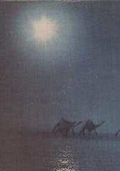Santana Caravanserai English Vinyl LP